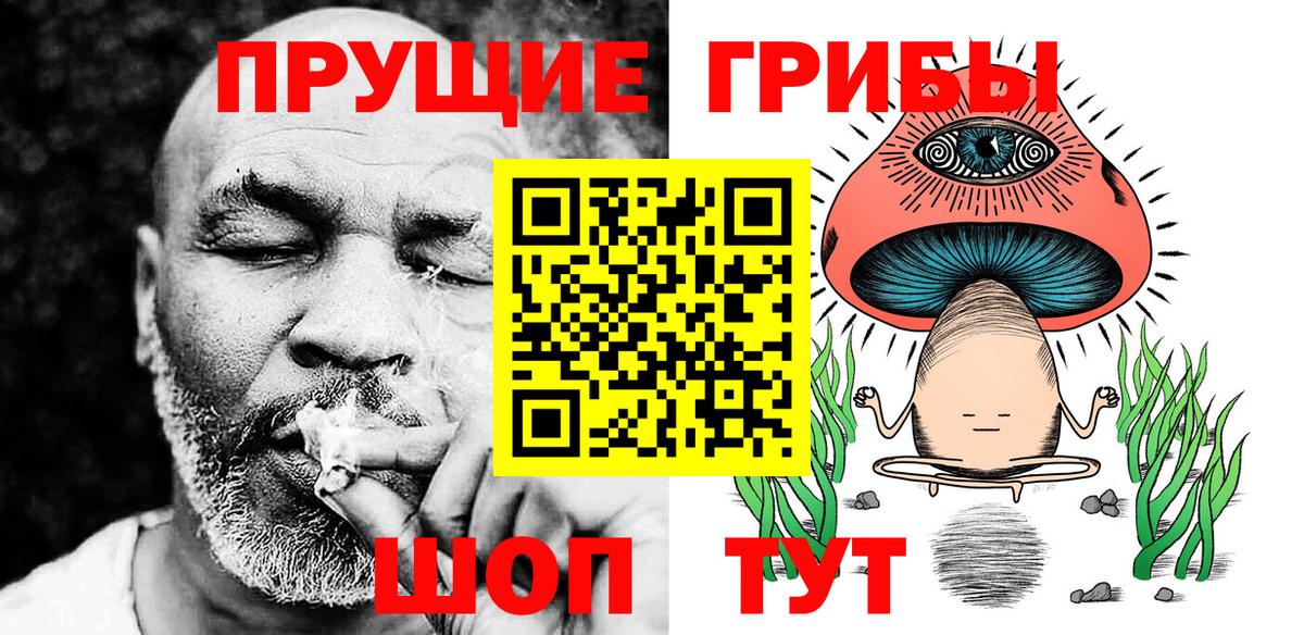 Галлюциногенные грибы Psilocybine cubensis Кызыл