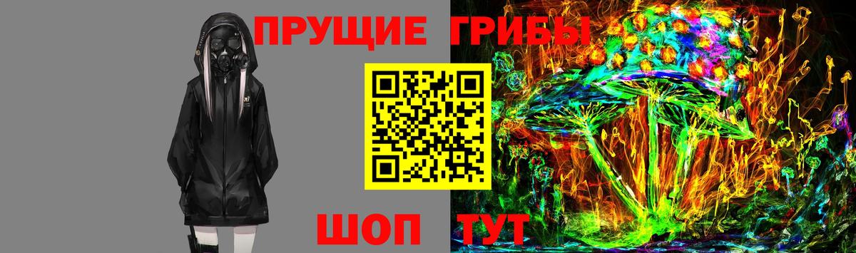 Кызыл  Псилоцибиновые грибы мухоморы  Вход с VPN  Галлюциногенные грибы мухоморы 